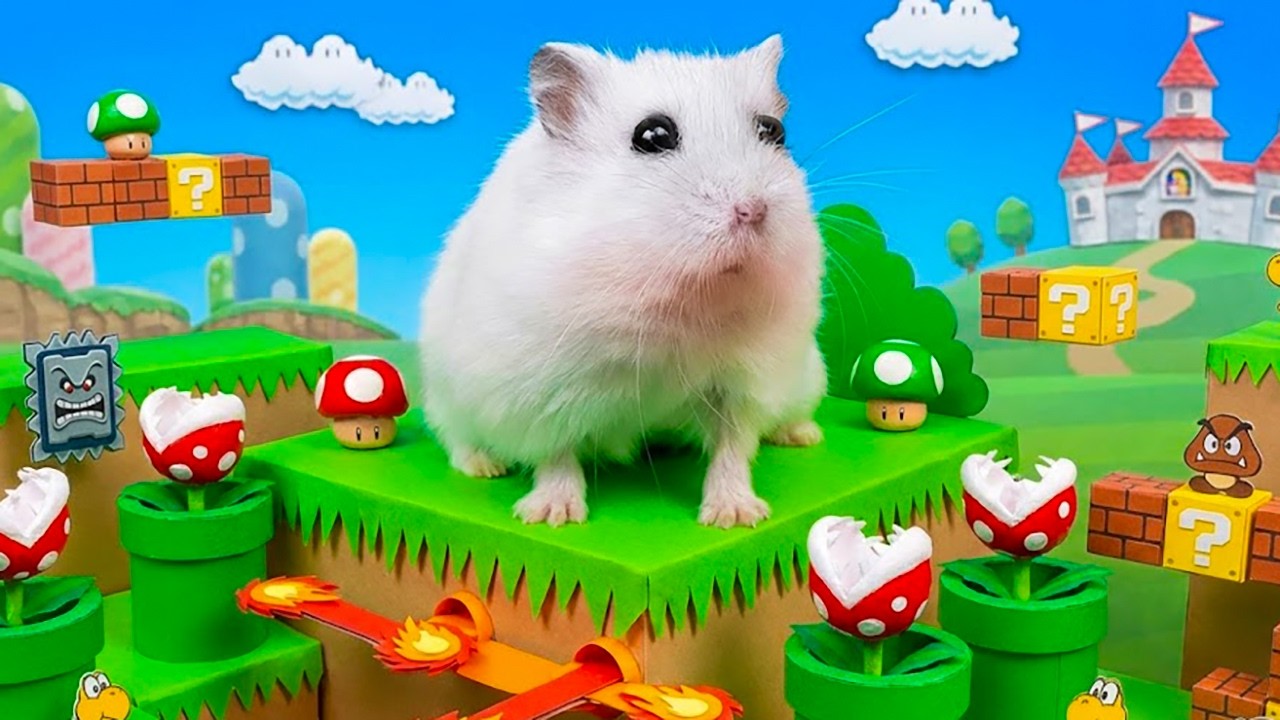Tired Hamster Escapes Mario's Maze - Carnivorous Flower | Hamster Maze