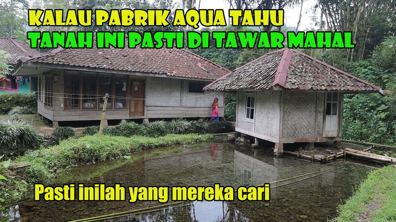 Wah..Air Pusaka Muncul Di Halaman Rumah Si Emak. Siapapun Pasti Ingin Memilikinya.