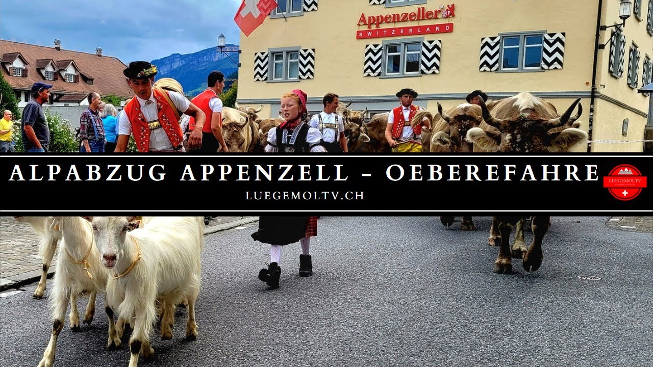 &Ouml;berefahre - Alpabzug Appenzell 2022 und Fahnenweihe Musikgesellschaft Harmonie - LuegemolTV.ch