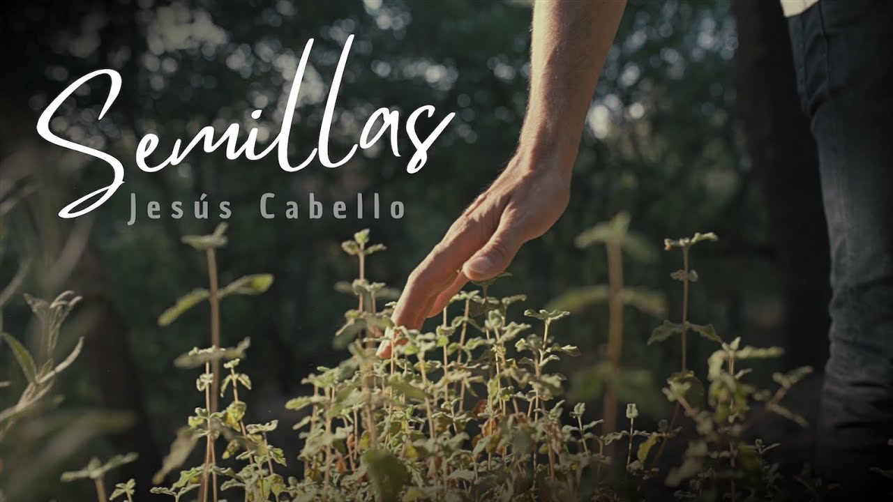 SEMILLAS - Jesús Cabello (Official videoclip) - Música católica