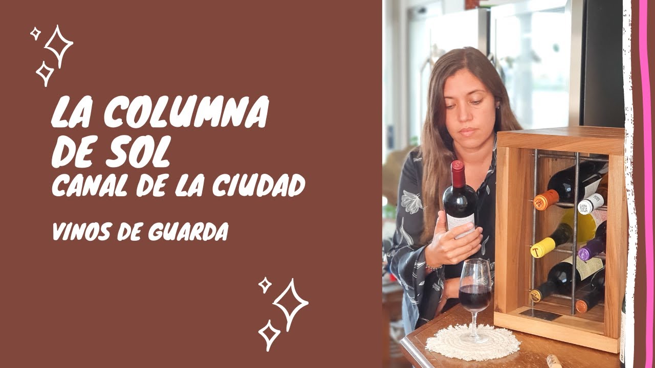 ¿Qué es un vino de guarda y como conservarlo?