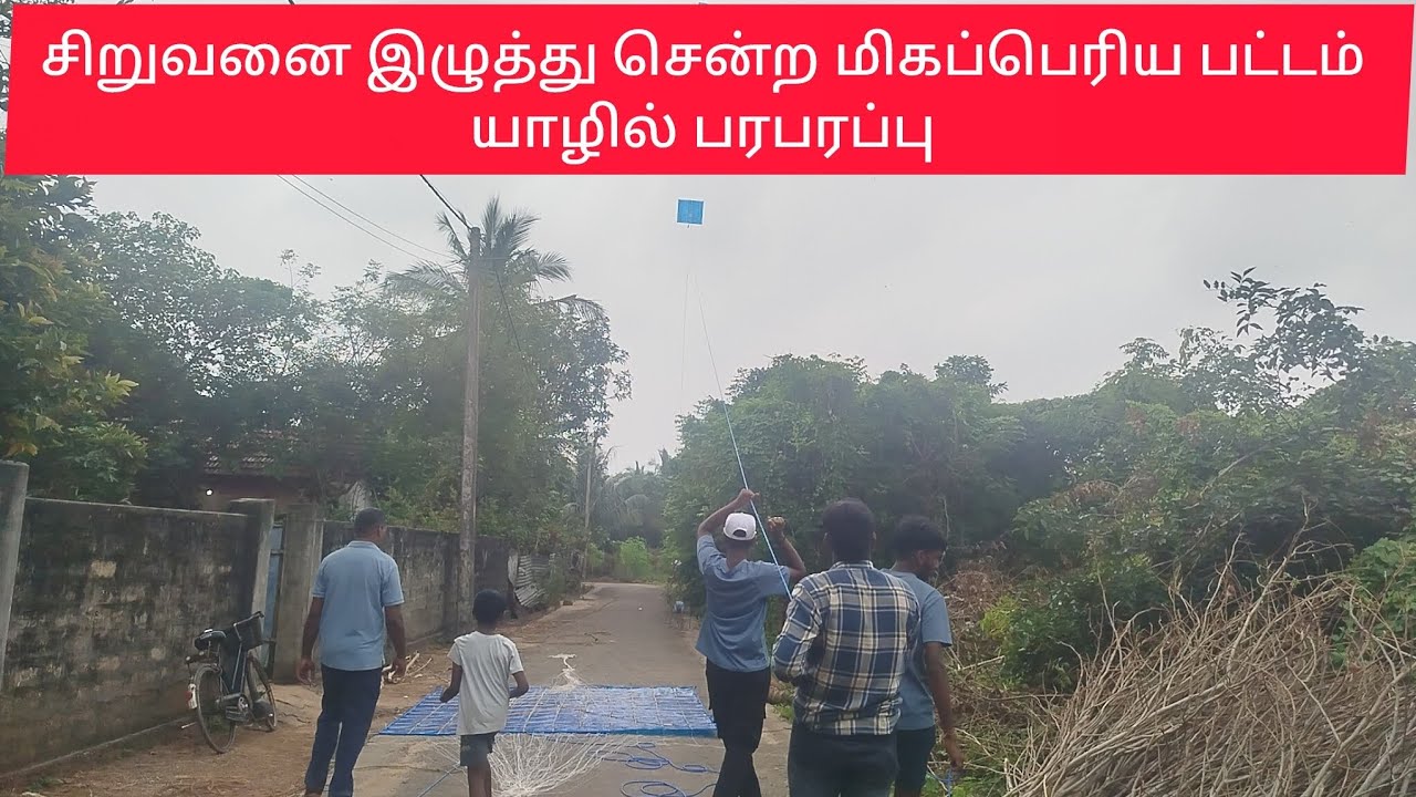 சிறுவனை இழுத்து சென்ற மிகப்பெரிய பட்டம் யாழில் பரபரப்பு 
