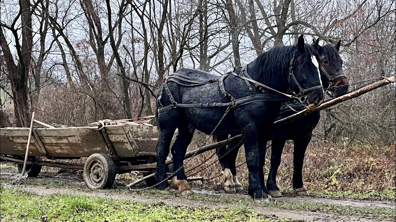 ‼️💣НАШІ КОНІ ПРАЦЮЮТЬ🧐. Латаємо дорогу зарінковим шутром🧑🏻‍🦼‍➡️👩🏽‍🦽‍➡️