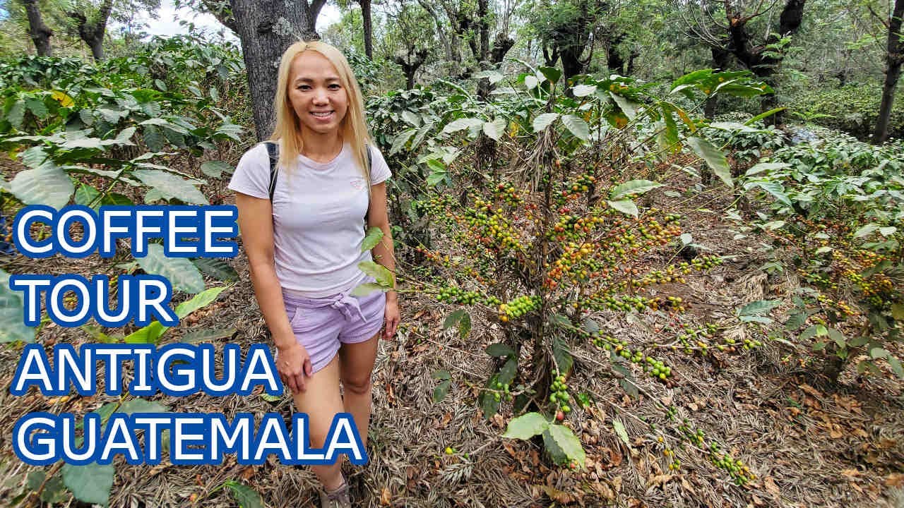 DE LA GENTE Coffee Tour (Tour del Cafe) | ANTIGUA, GUATEMALA