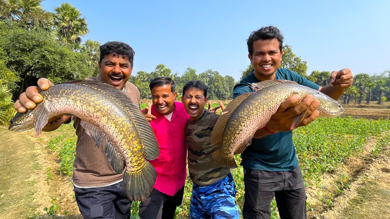 শীতের স্পেশাল জোড়া শোলমাছ পোড়া রেসিপি । village cooking vlog