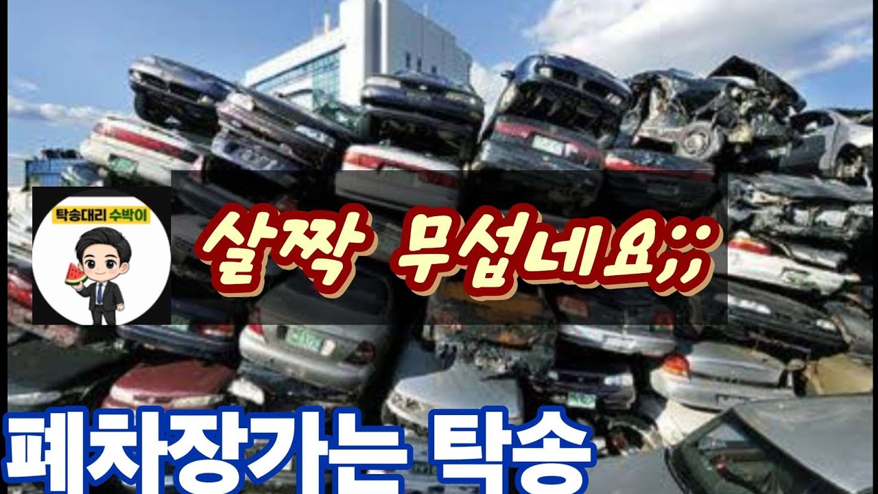 탁송+저녁대리가 요즘 트랜드입니다 #탁송 #대리기사 #대리운전 #뚜벅이 