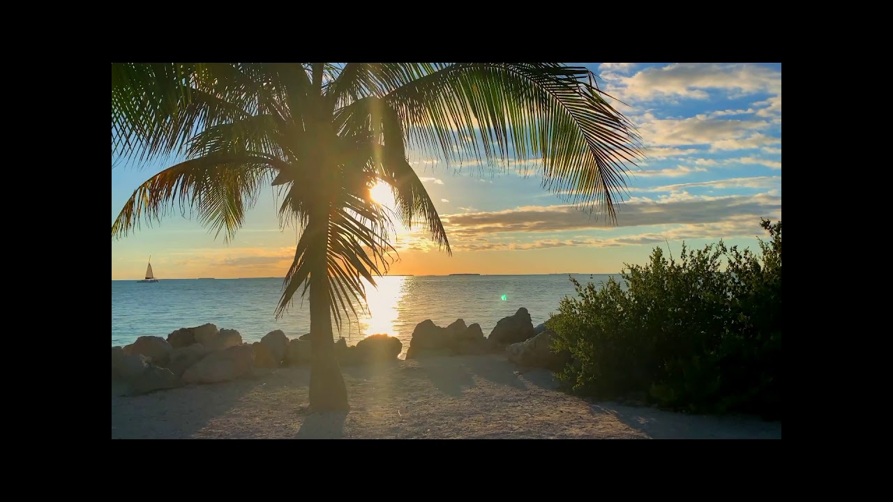 Relaxing Deep Sleep Music & Stunning Nature, Meditation Music for Stress Relief
