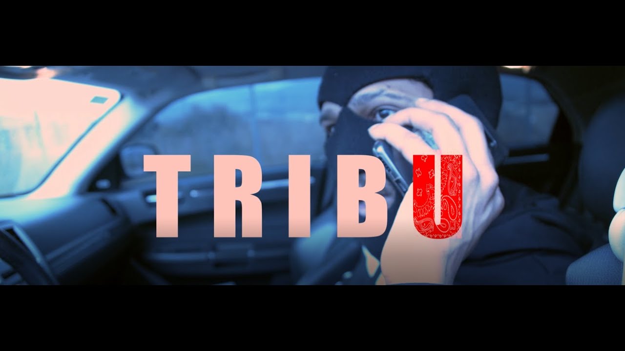 TRIBU