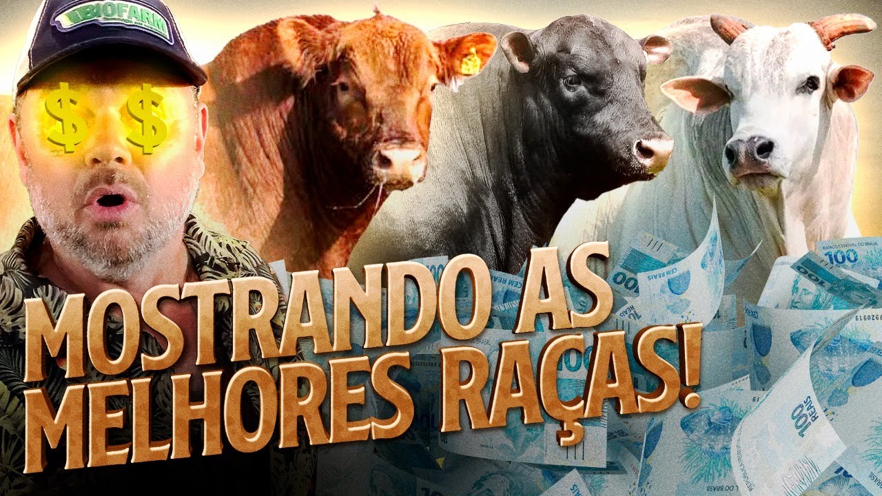 ENCONTREI AS MELHORES RAÇAS DE GADO EM UM SÓ LUGAR! | RICHARD RASMUSSEN
