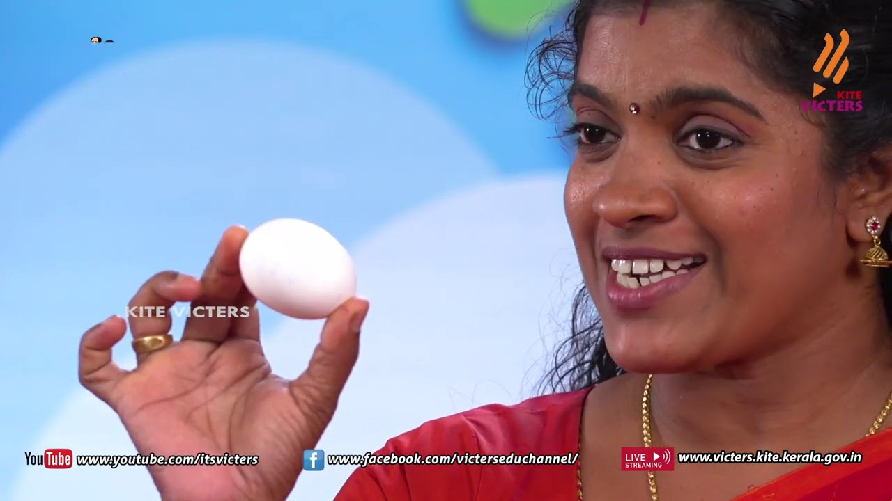 KITE VICTERS Kilikonchal Anganwadi Class 12