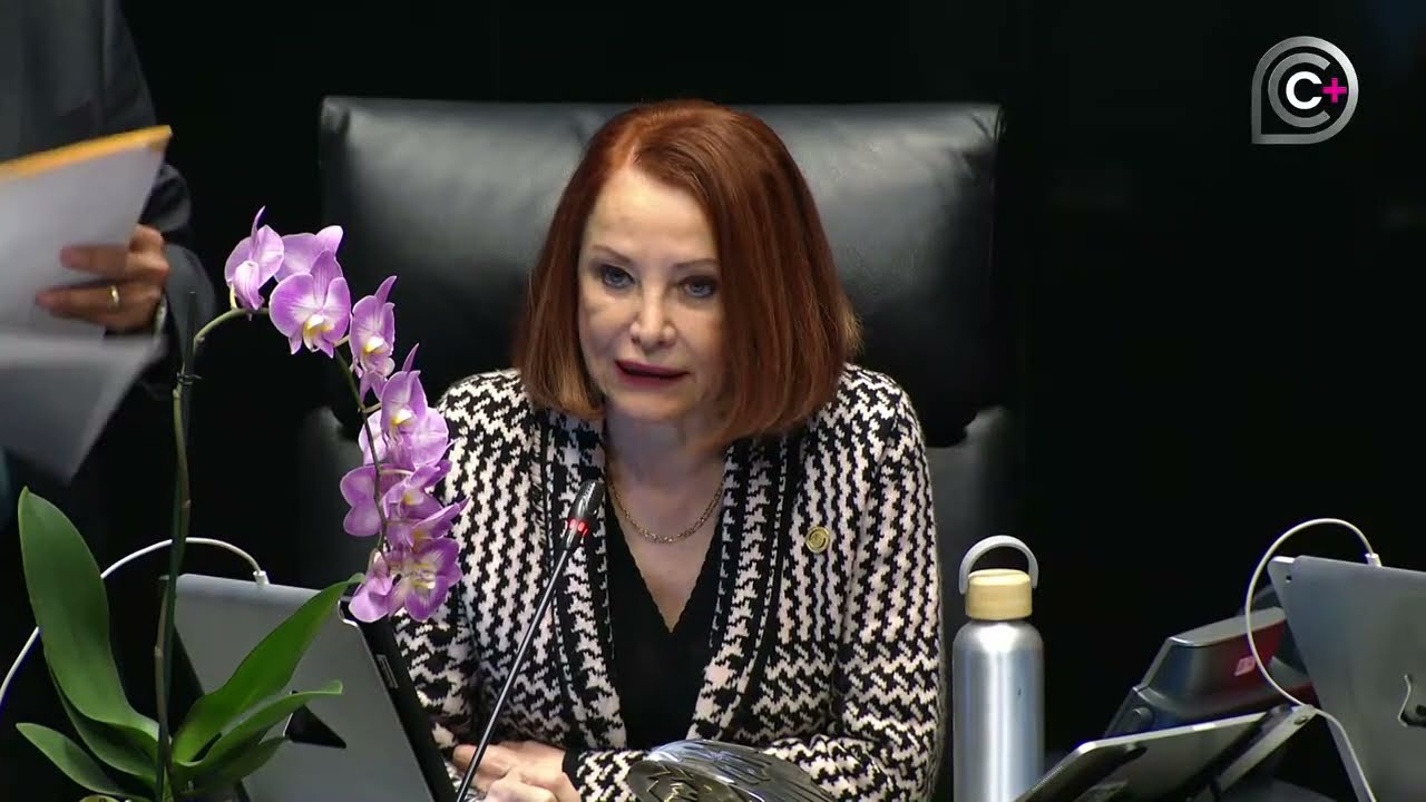 Sesi&oacute;n de la C&aacute;mara de Senadores, del 12 de noviembre de 2025