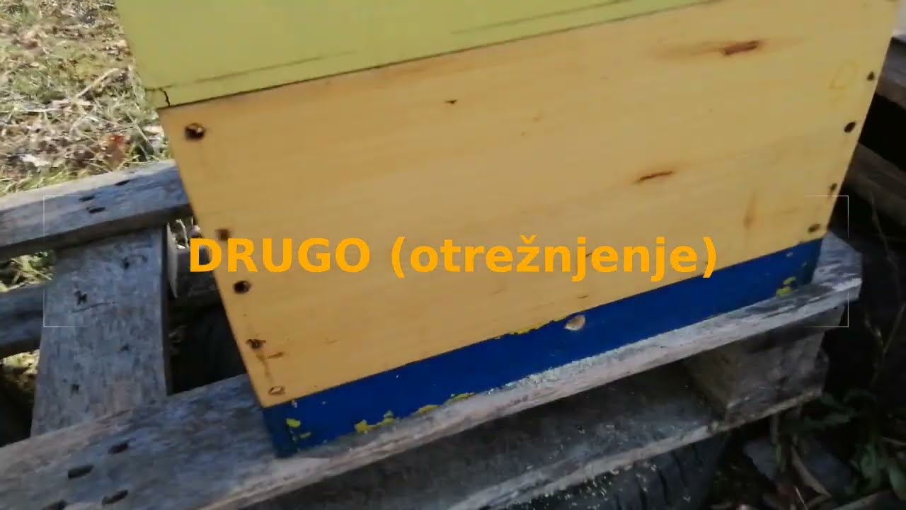 Tretman varoe sublimacijom Oksalne kiseline - oduševljenje, otrežnjenje, razočarаnje i improvizacija