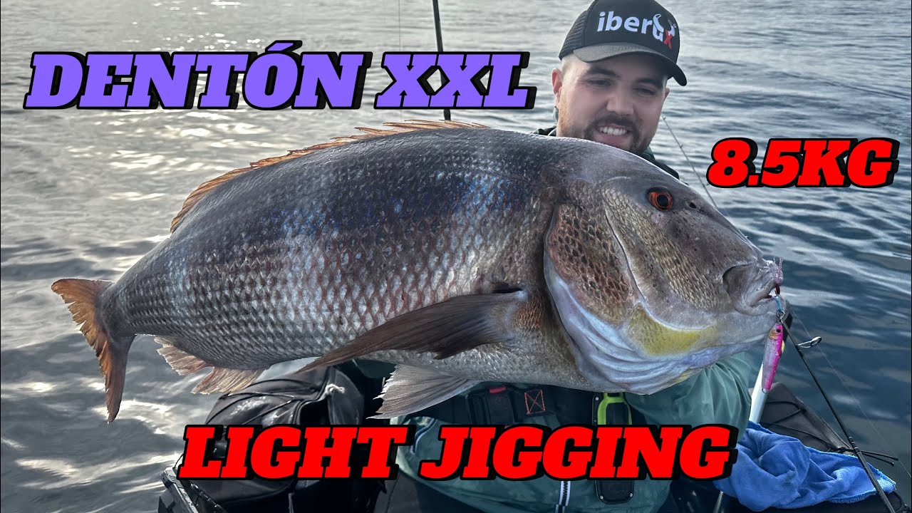 🔥DENTÓN XXL A LIGHT JIGGING!!🔥