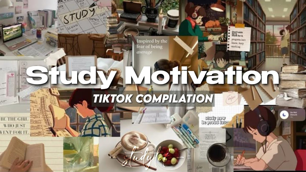 study motivation so you can stop rotting in your bed | Tik Tok Compilation #studytok #motivation