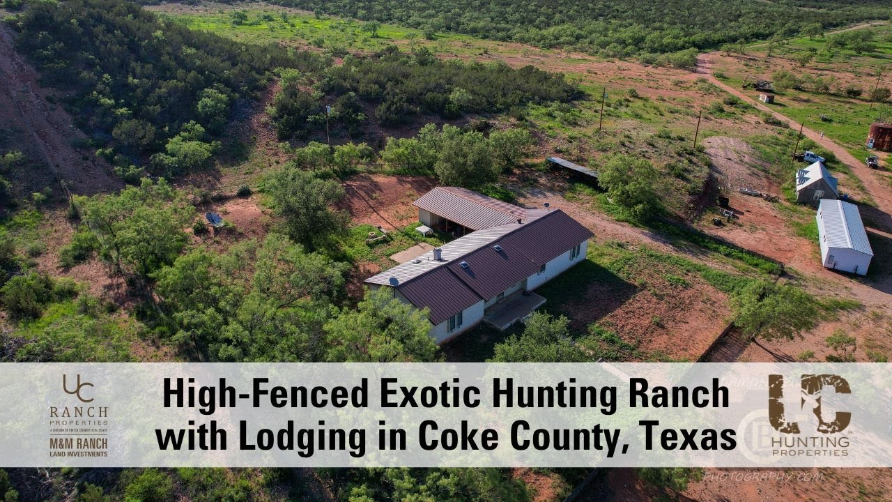 High-Fenced Exotic Hunting Ranch with Lodging in Coke County, Texas