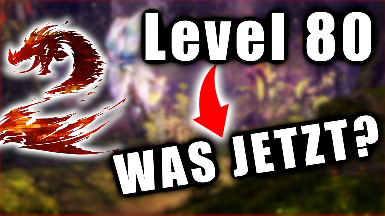Ich bin Level 80 - WAS JETZT?  - Guild Wars 2