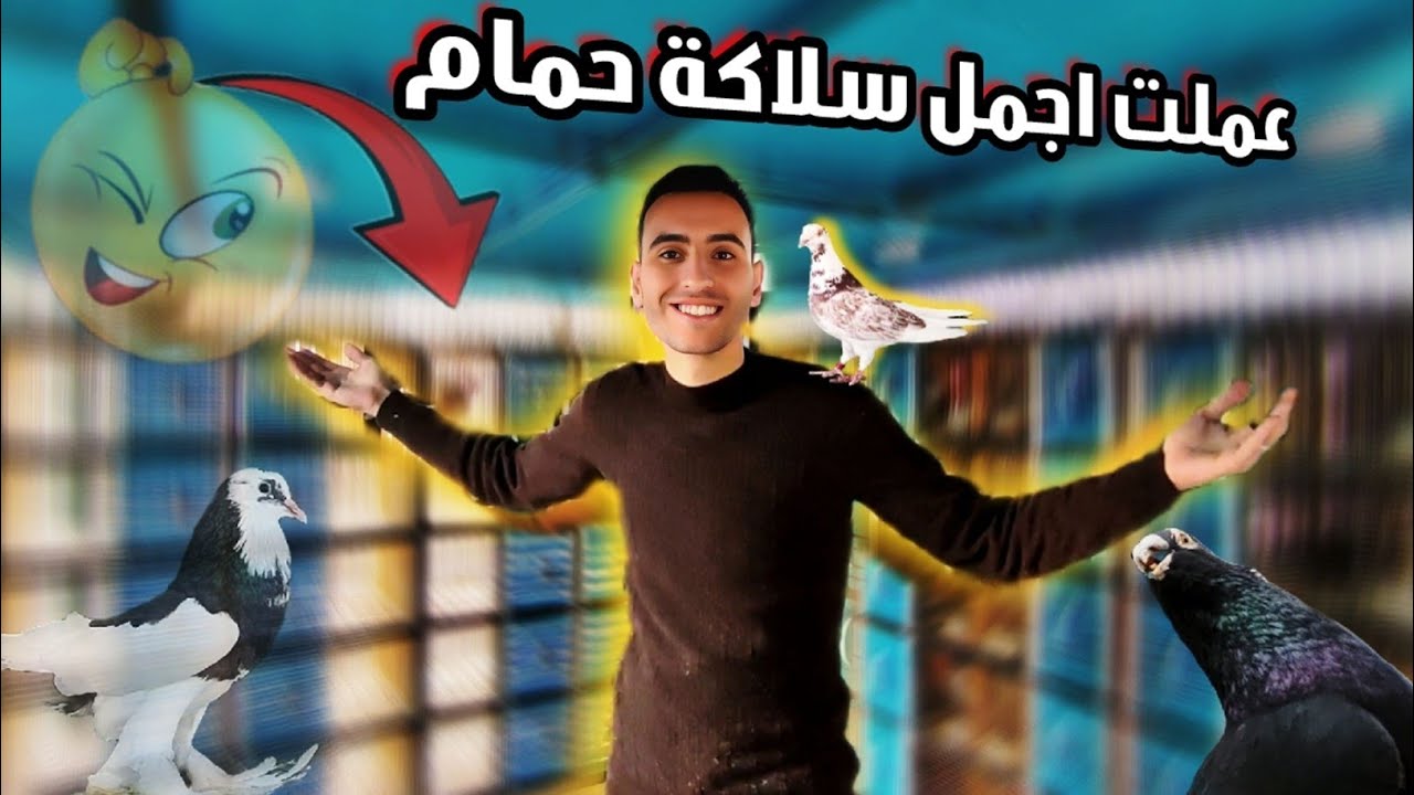 خلصت السلاكة اخيرا😃بقت اية من الجمال (يبخت الحمام🤩)