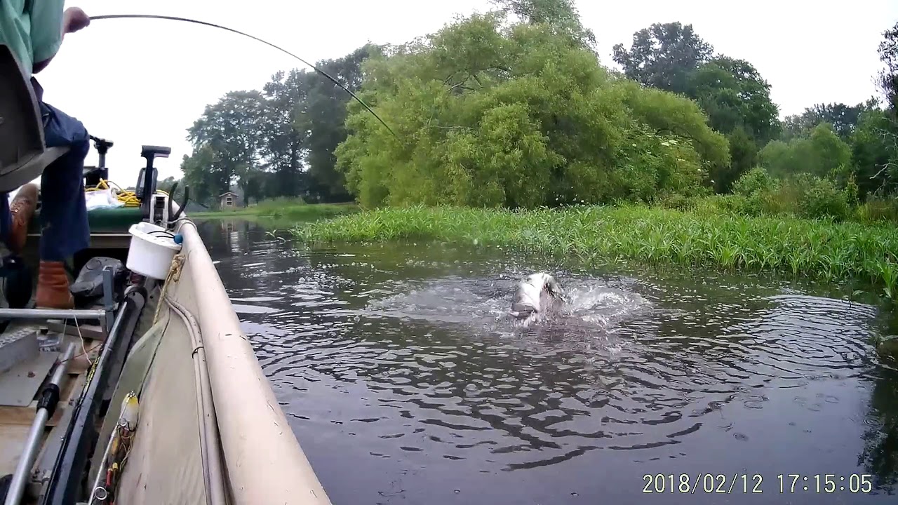 10 Days of Jigger Pole Fishing.
