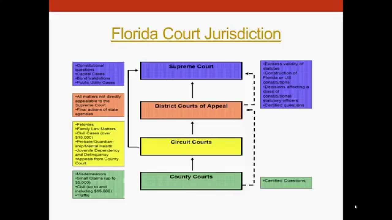 Understanding the United States Legal System