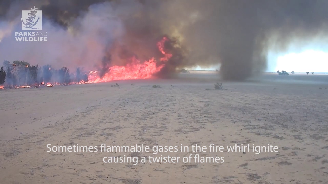 15. Fire Whirl – Watheroo, Western Australia