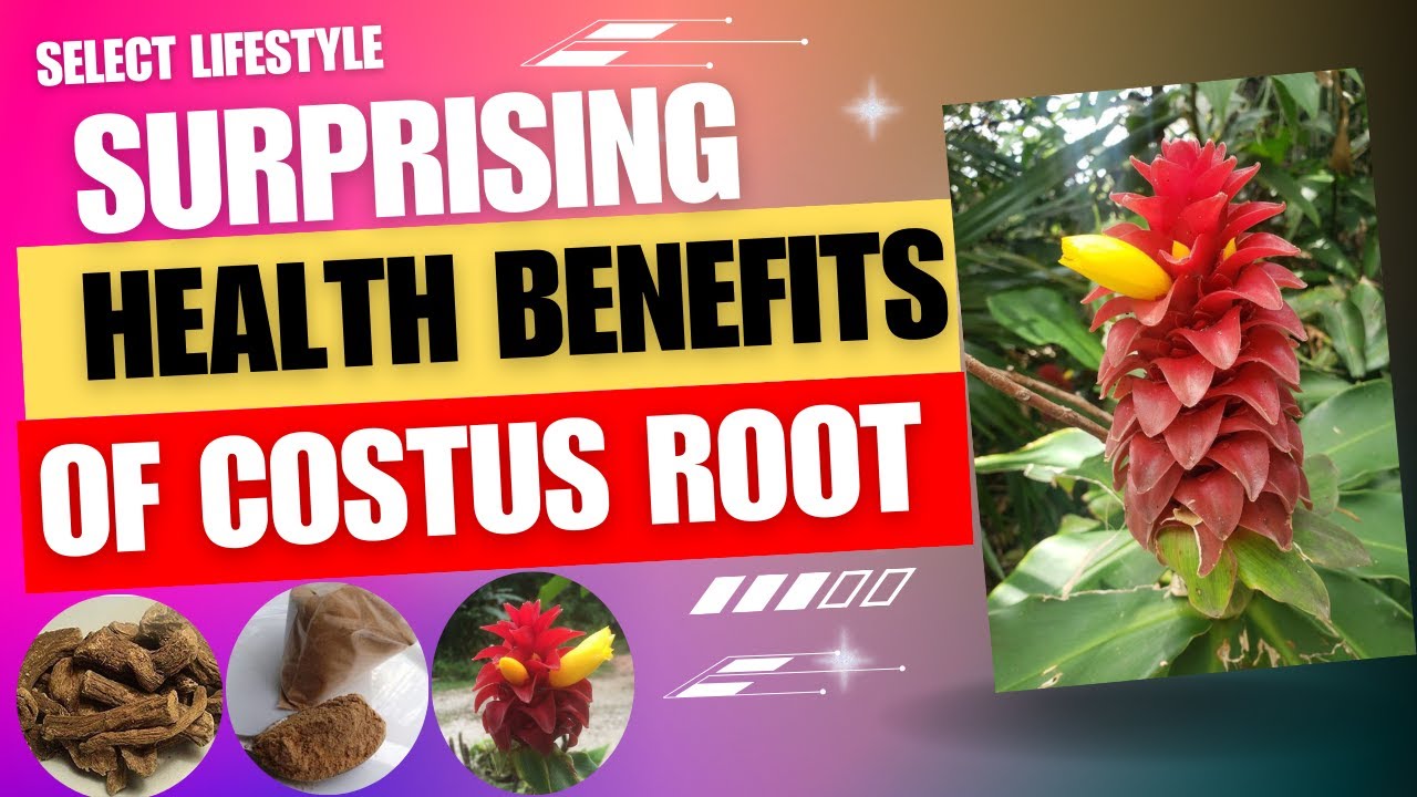 Health Benefits of Costus Roots! 🌿  | SELECT LIFESTYLE