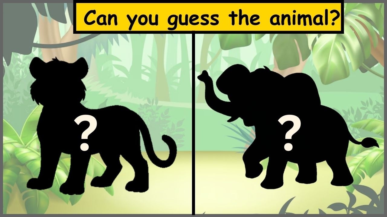 Guess the Animal by Shadow | Fun Animal Guessing Game for Kids