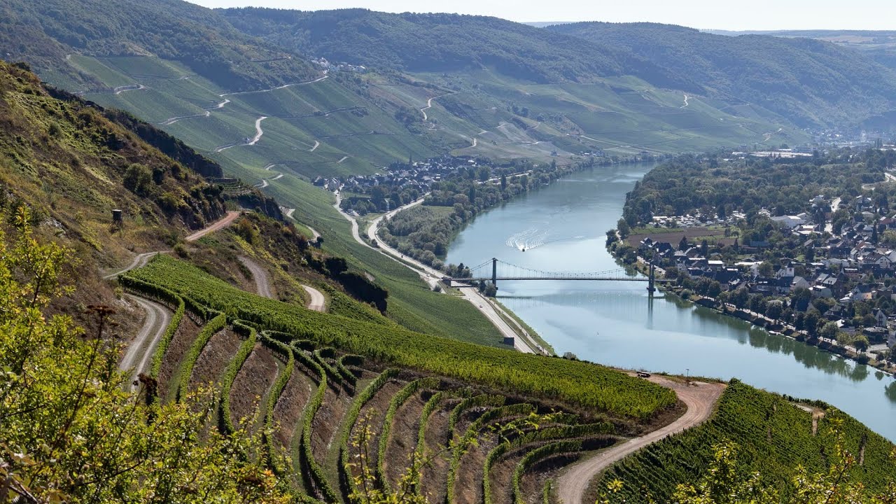 Wandelen langs de Moezel - Moselsteig etappe 11 - Bernkastel Kues-Ürzig
