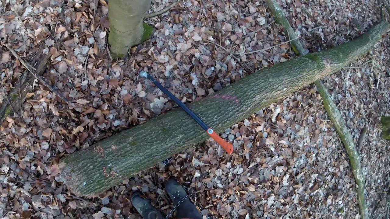 Holz rücken