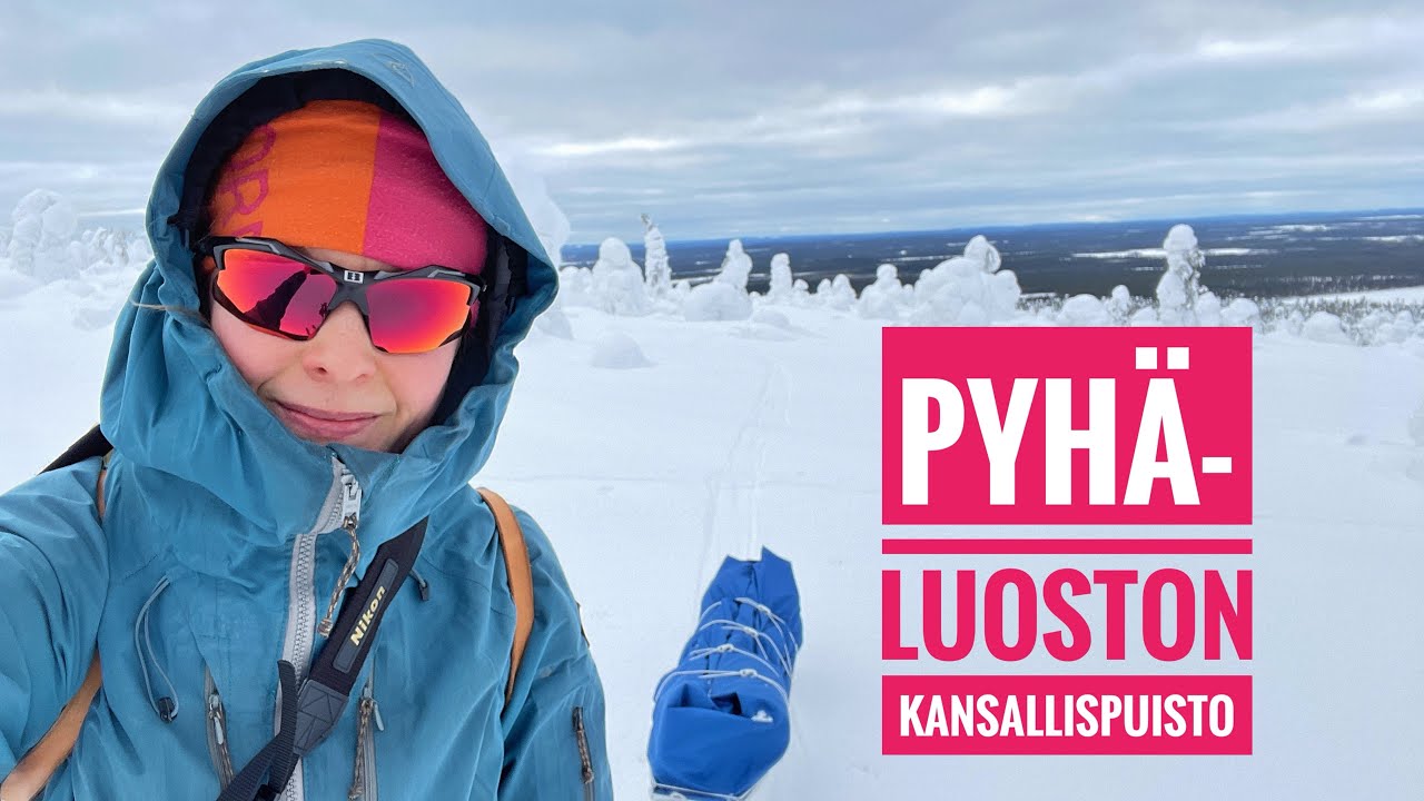 Pyhä-Luoston kansallispuisto 2024 - Jäisiä rinteitä ja hankikantoa
