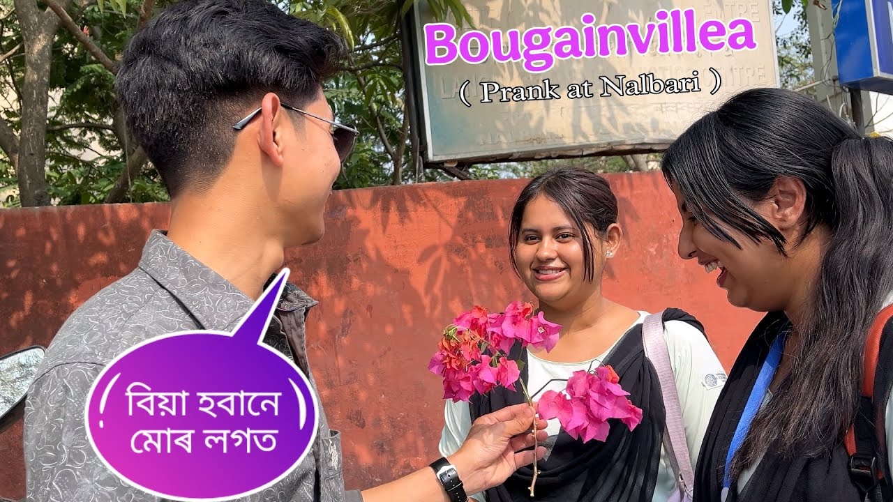 Bougainvillea ফুল দি Propose কৰি দিলো 😍  | Prank at Nalbari College