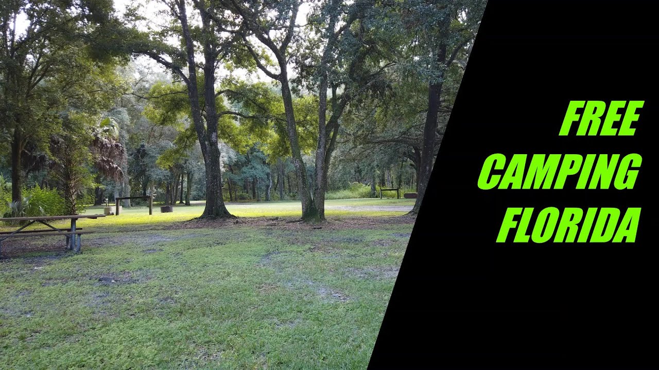 Free Camping FL, Green Swamp Hampton Tract