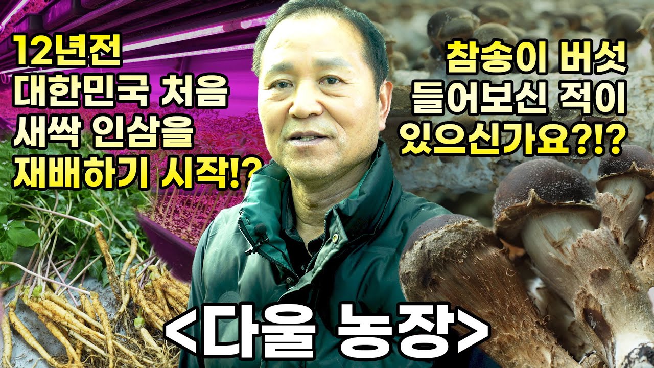 [ep40] 참송이 버섯!!! 정성과 건강을 담은 다울농장(새싹 인삼) 