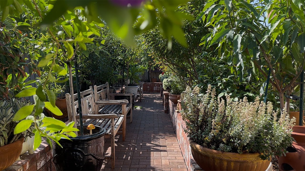 Backyard Garden Ideas | Transform Your Space with Plants as Living Design