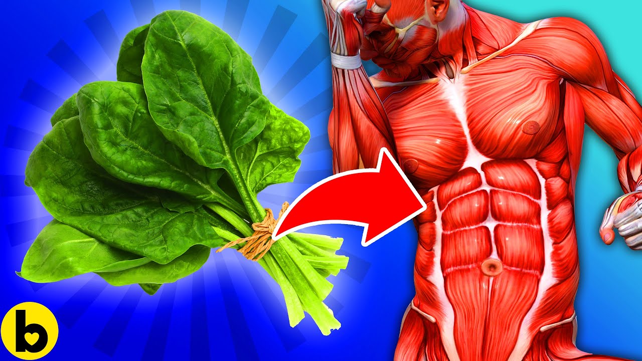 High Protein Vegetables You Need To Eat For Gaining Muscle Mass