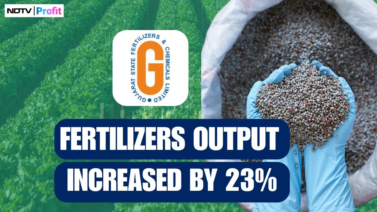 GSFC Q3 Results: Net Profit Rises By 13%; What's In Store For H2FY25? | NDTV Profit