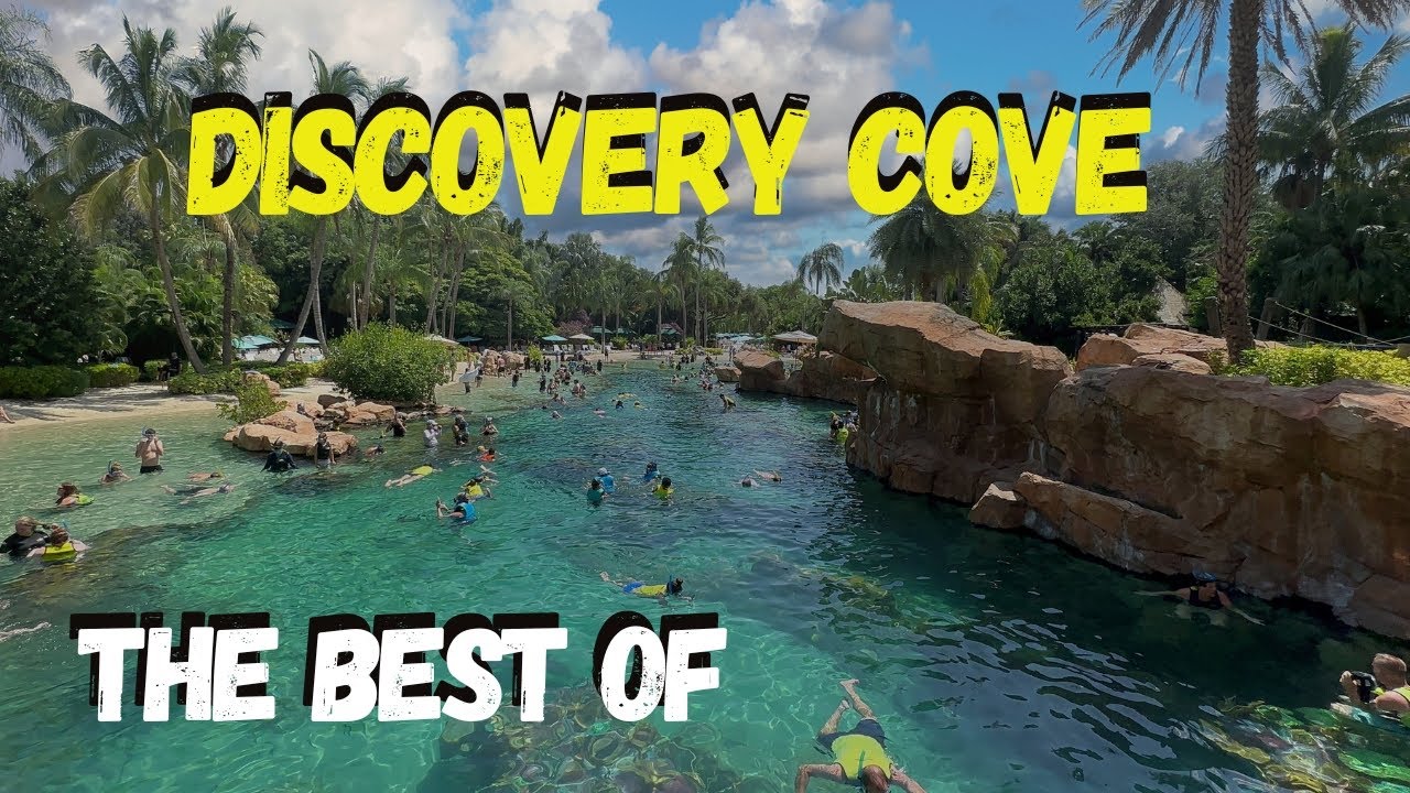 Discovery Cove - The Best Of