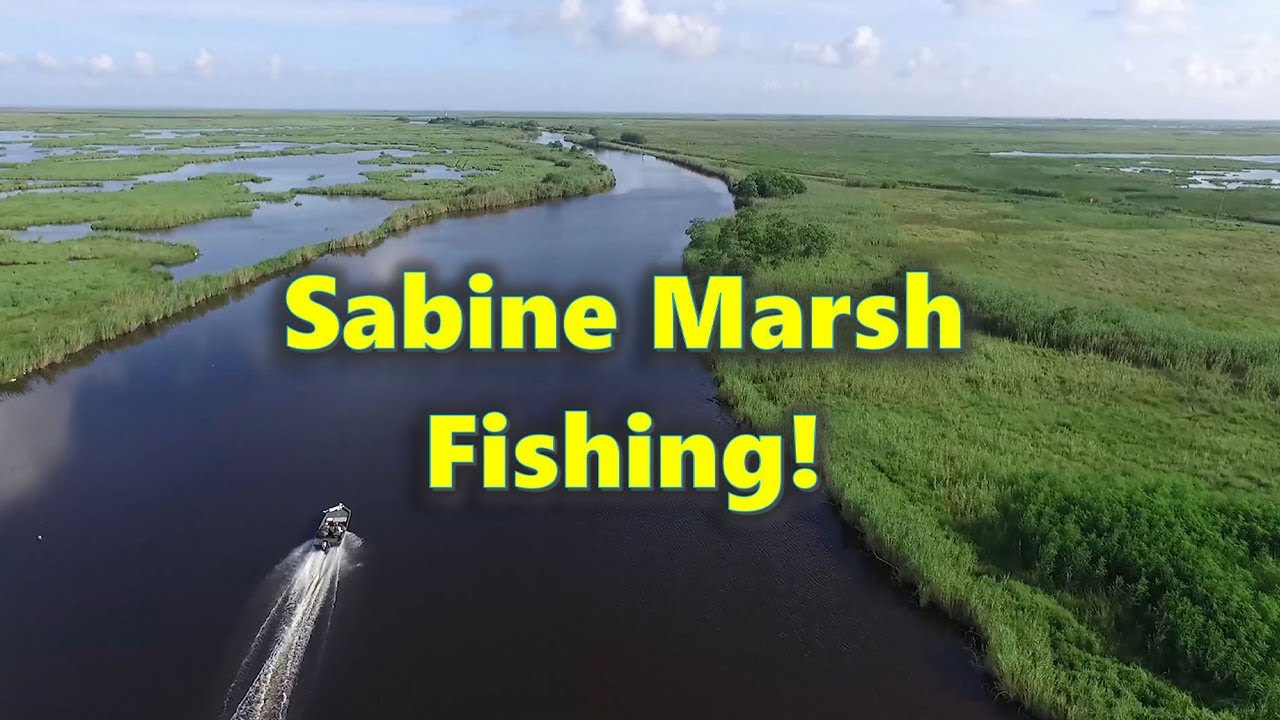 Sabine Marsh Fishing