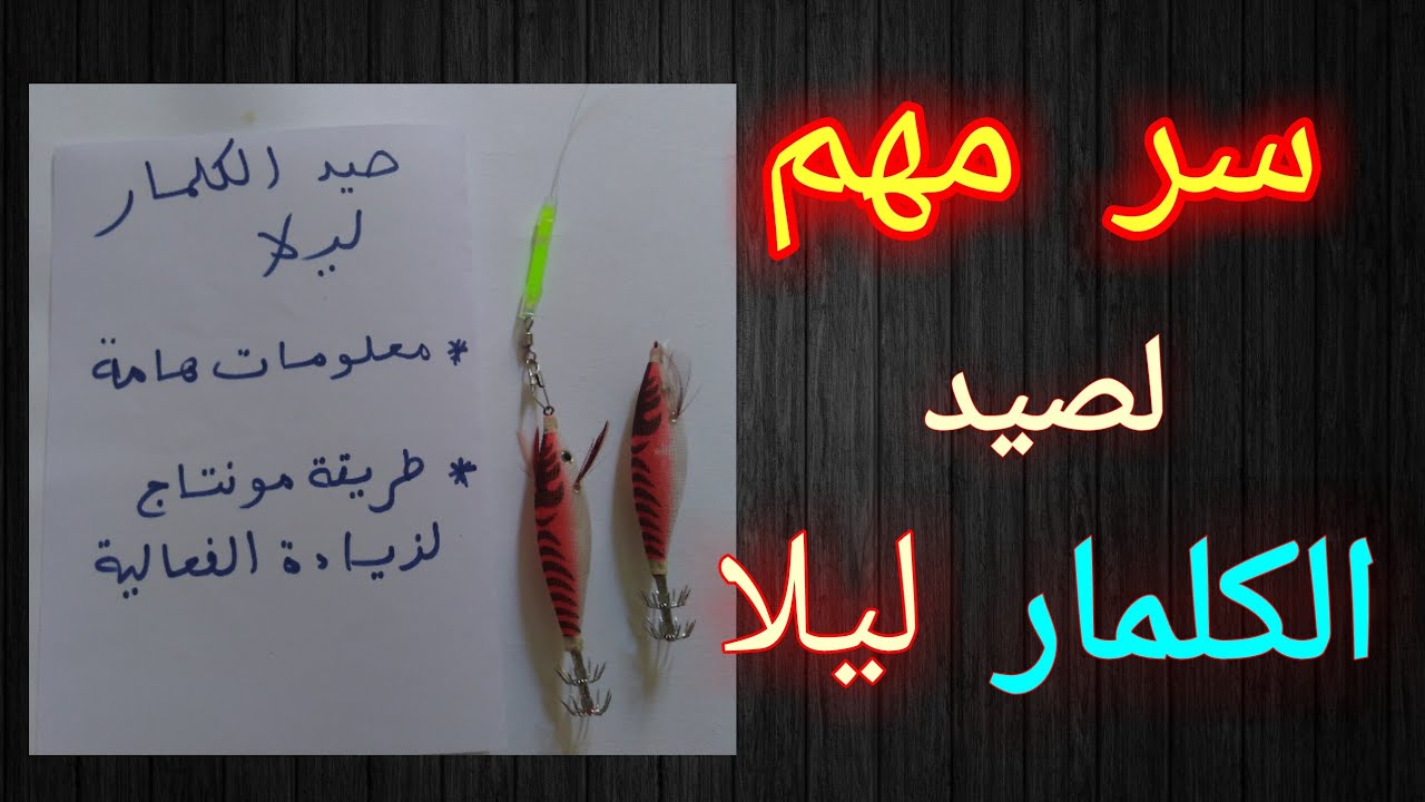 أفضل طريقة صيد كلمار بالليل . أفضل طريقة لصيد الكاليماري .