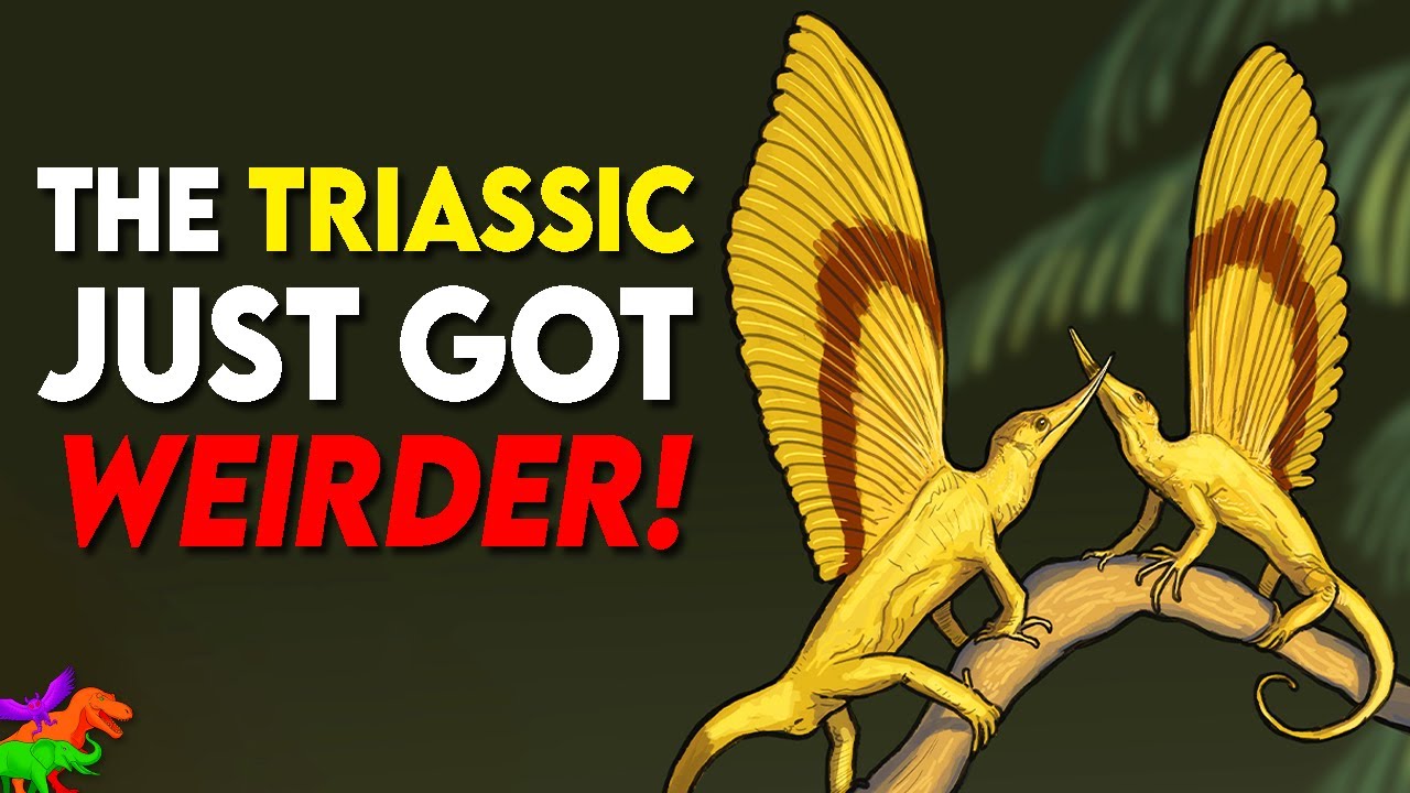 Ultra-Bizarre Fin-Backed Reptile Scientists Could Never Have Imagined!
