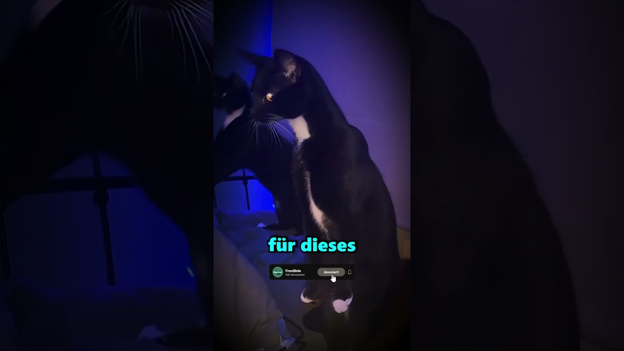 Von zwei Skinwalkern in eine Falle gelockt 😱