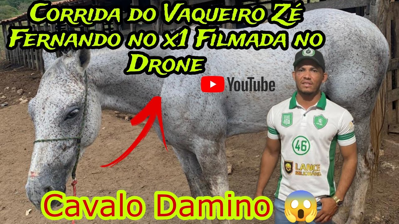 Corrida do Vaqueiro Zé Fernando no X1 no cavalo Dominó 😱