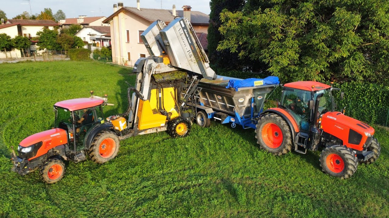 VENDEMMIA PROSECCO: KUBOTA M135GX - IV, M5101 NARROW | NEW HOLLAND TL90 | VOLENTIERI PELLENC 8090