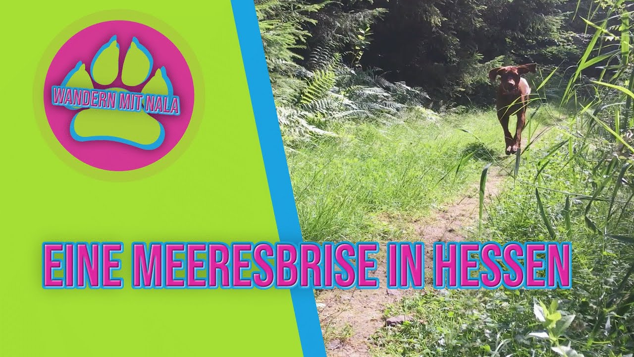 Eine Meeresbrise 🌊 in Hessen - Bad Orb - Spessart - Wandern mit Hund 🐕