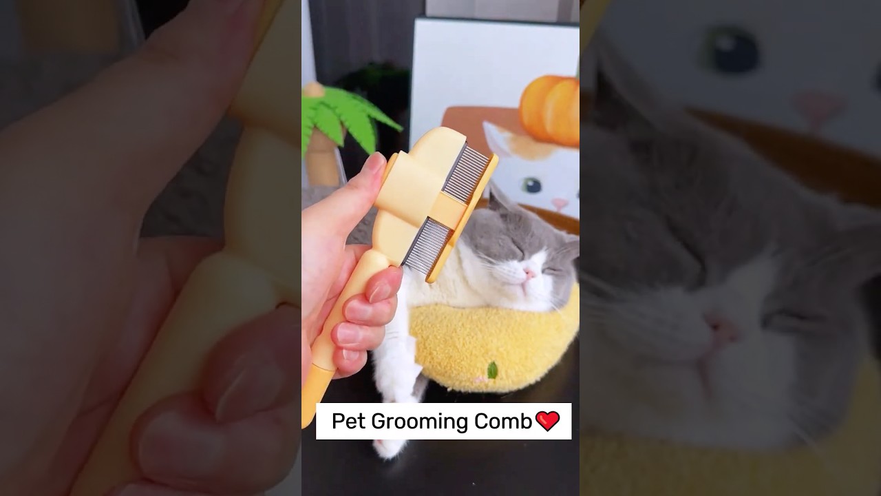 🔥🐈🐶Hottest selling pet products in 2025 