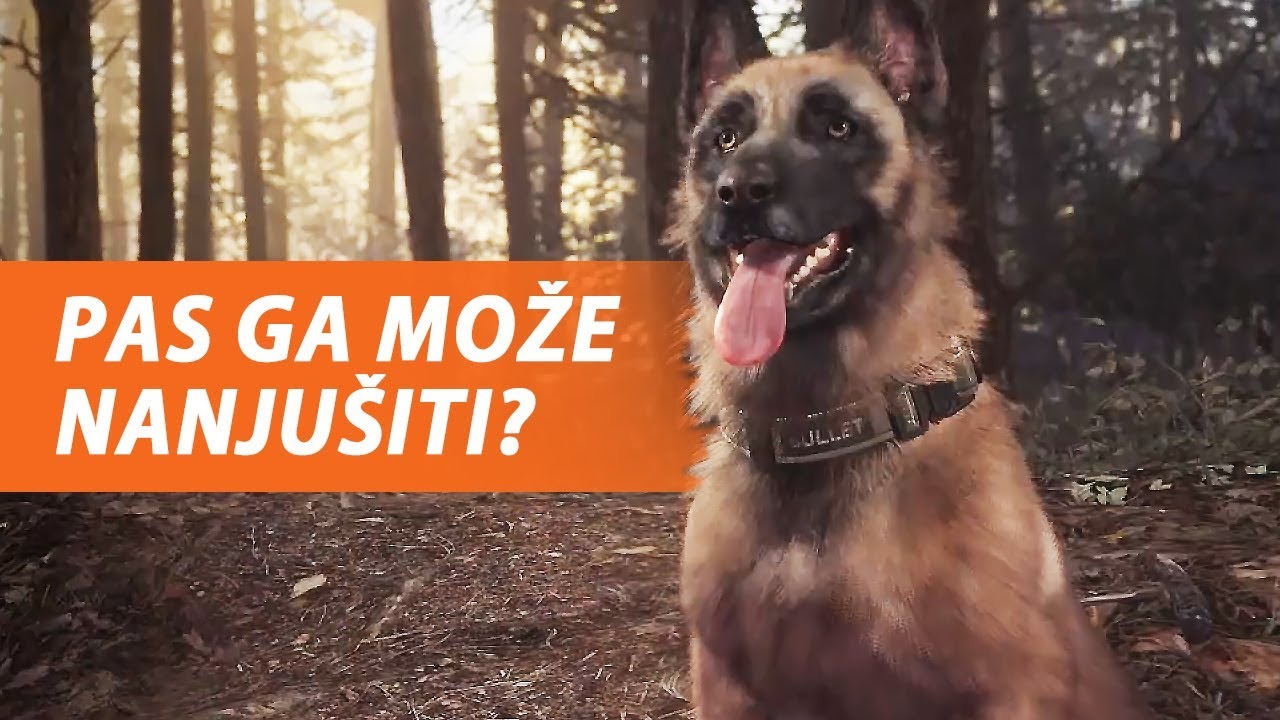 TRAŽIMO KLINCA U ŠUMI - Blair Witch
