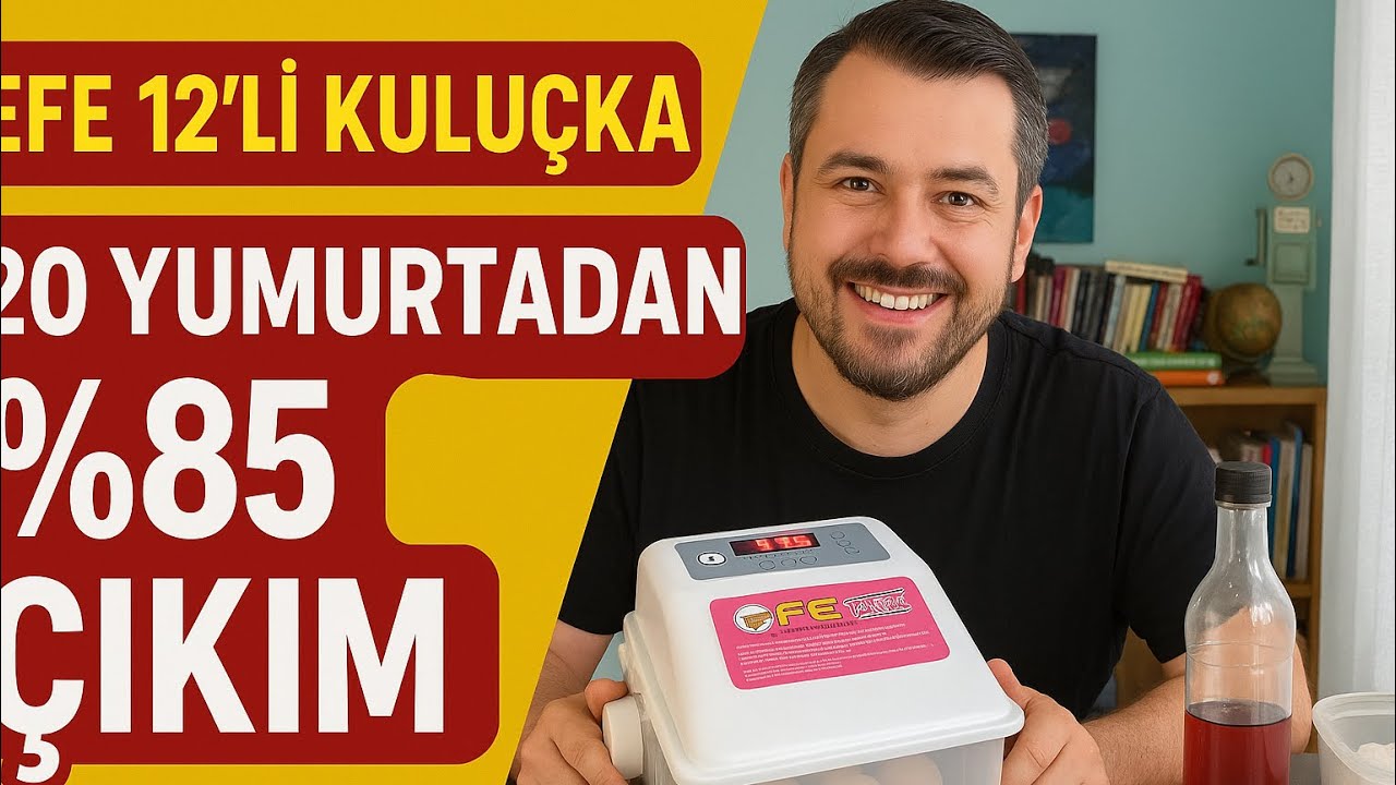 Efe 12’li Kuluçka Makinası ile Bıldırcın Çıkarttım !! 🐣 | 20 Yumurtadan 17 Civciv!