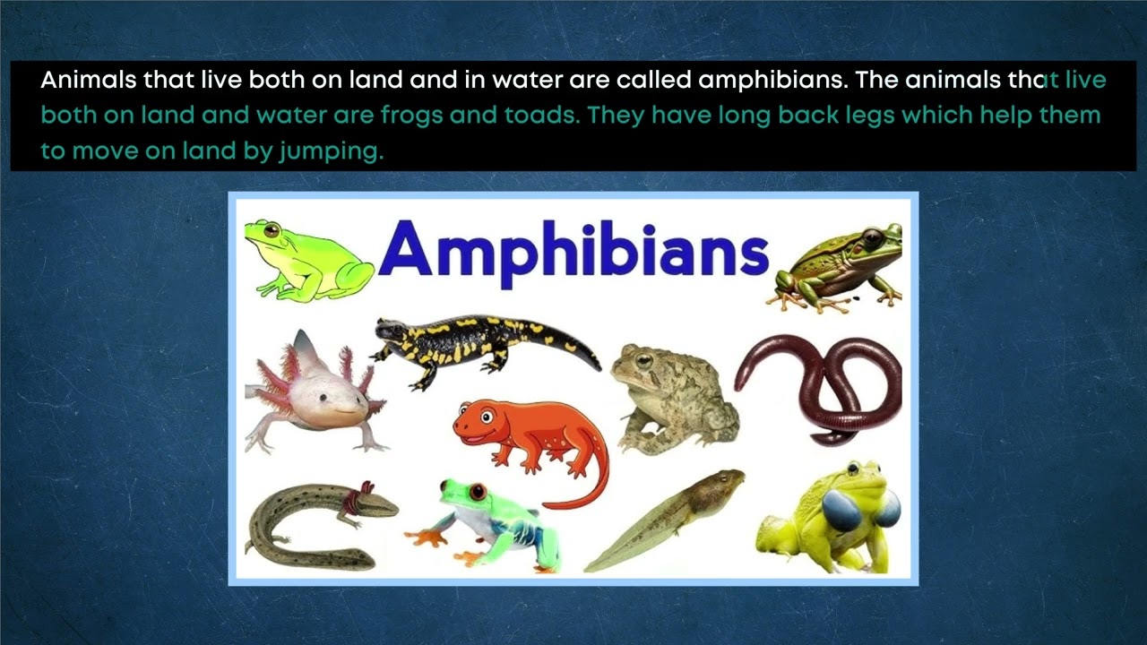 CLASS_4_EVS_Lesson_6