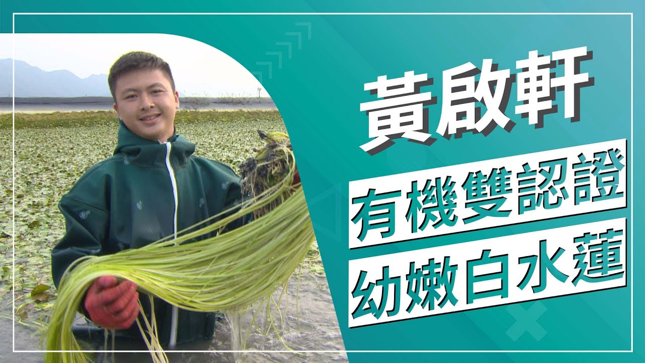 草地狀元-你吃過白水蓮嗎？  有機水蓮外銷推手(2021.11.15播出)