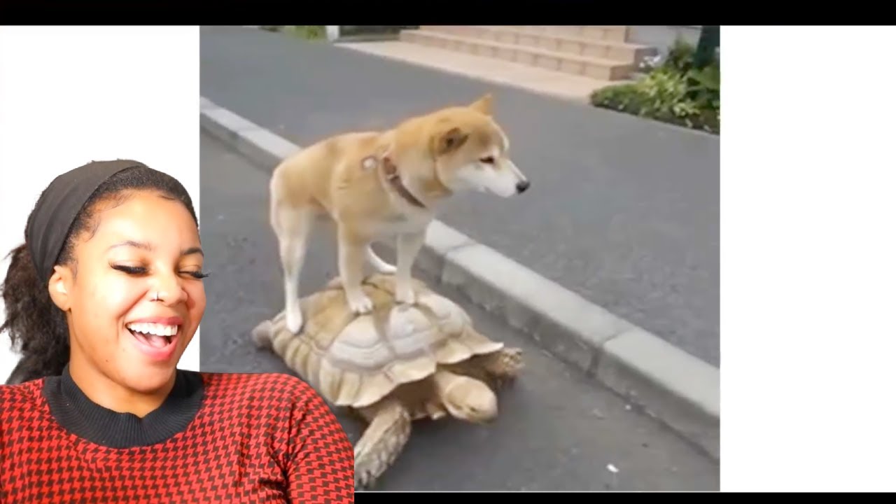 PETS are the WORST | Reaction