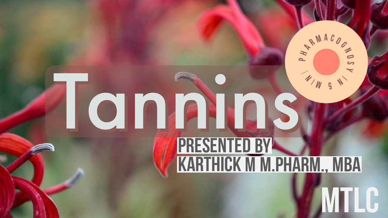 Pharmacognosy in 5 minutes|Tannins|Pharmacy